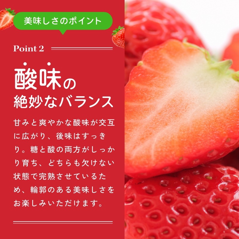 【静岡県産】朝採り完熟紅ほっぺ 中4パックセット（1パックあたり9～12粒）