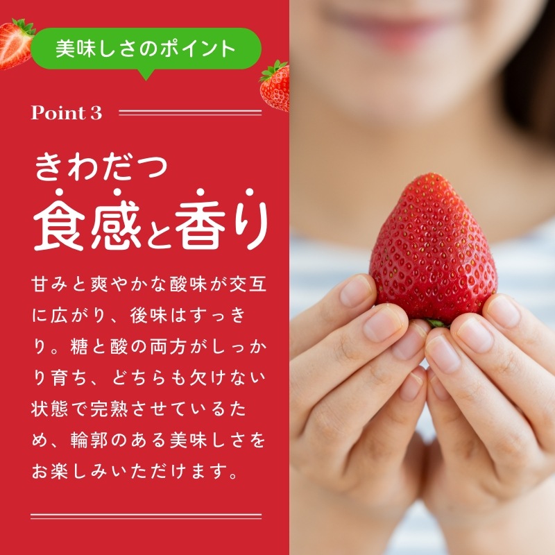 【静岡県産】朝採り完熟紅ほっぺ 中4パックセット（1パックあたり9～12粒）