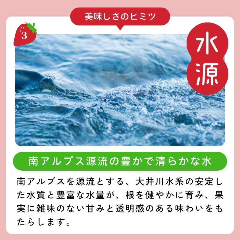 【静岡県産】朝採り完熟紅ほっぺ 中4パックセット（1パックあたり9～12粒）