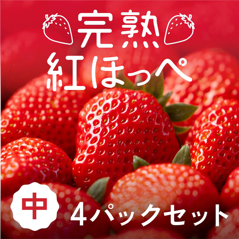 【静岡県産】朝採り完熟紅ほっぺ 中4パックセット（1パックあたり9～12粒）