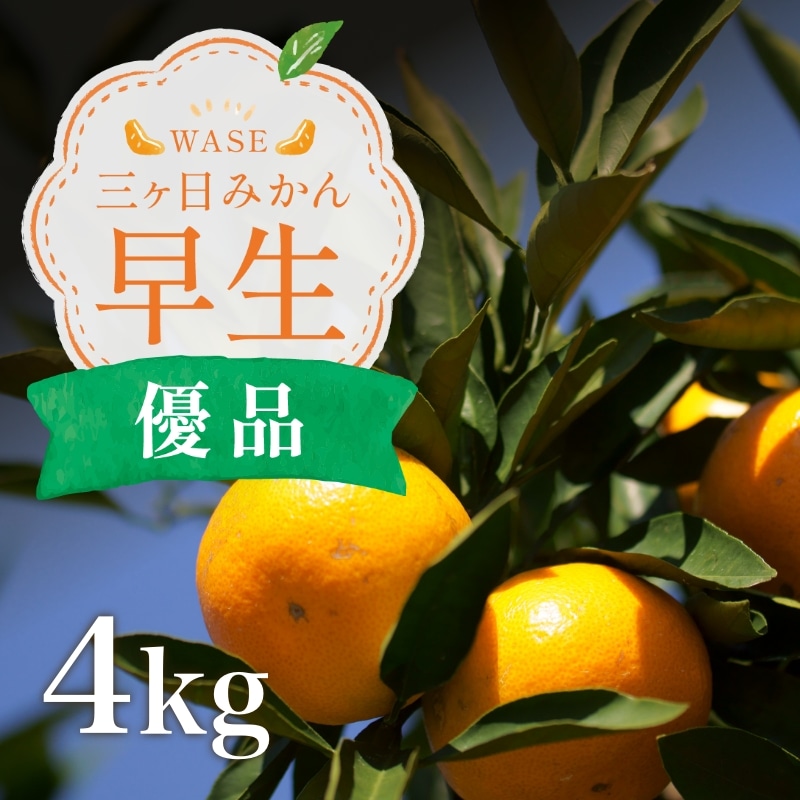 三ケ日みかん「早生（わせ）」4kg（S～LLミックスサイズ）（優品相当）