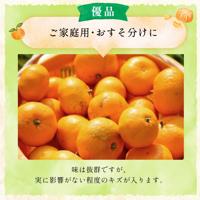 三ケ日みかん「早生（わせ）」4kg（S～LLミックスサイズ）（優品相当）