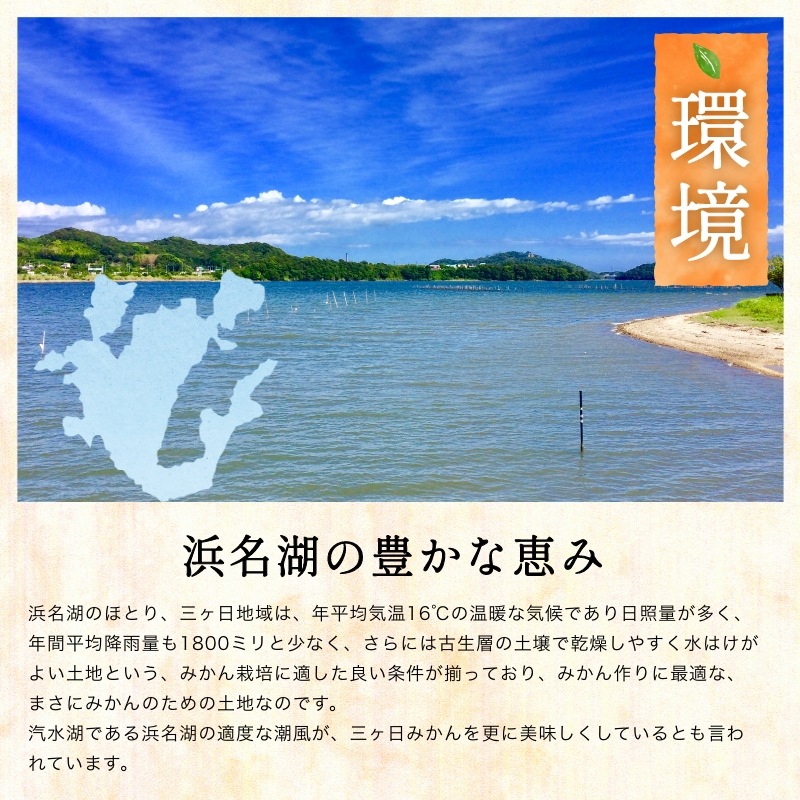 三ケ日みかん「早生（わせ）」4kg（S～LLミックスサイズ）（優品相当）