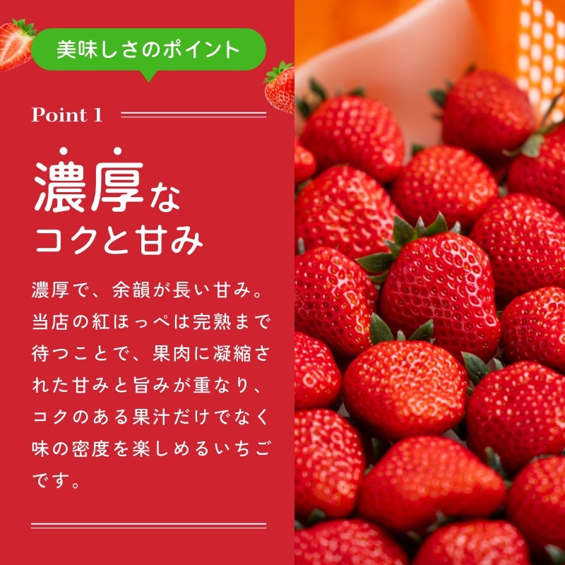【静岡県産】朝採り完熟紅ほっぺ 大4パックセット（1パックあたり4～8粒）
