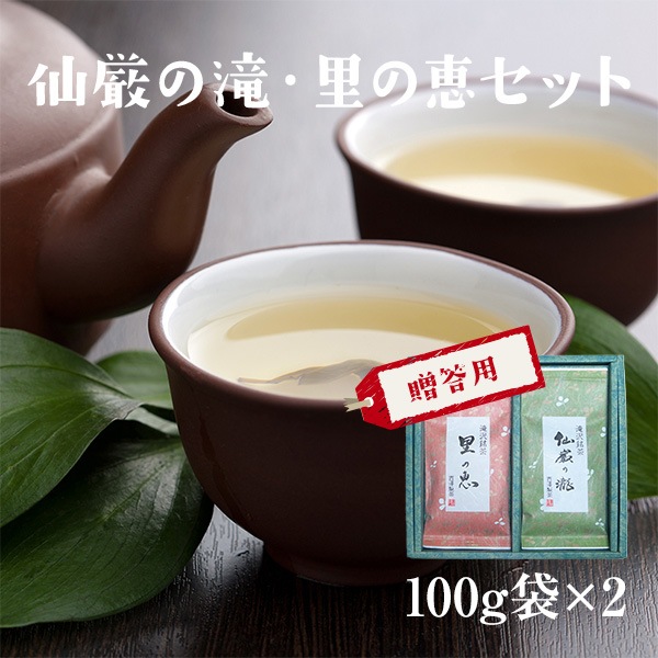 【静岡茶】仙厳の滝・里の恵み100g 袋セット【農家直送】