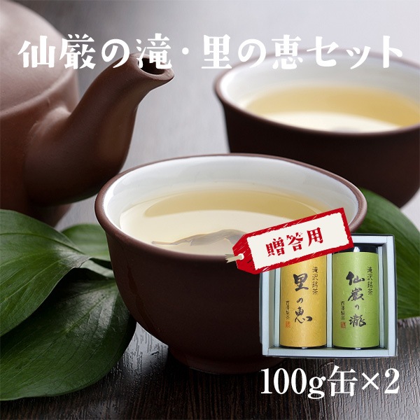 【静岡茶】仙厳の滝・里の恵み100g 缶セット【農家直送】