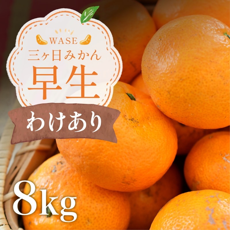 【訳あり】三ケ日みかん「早生（わせ）」8kg（サイズ不選別）