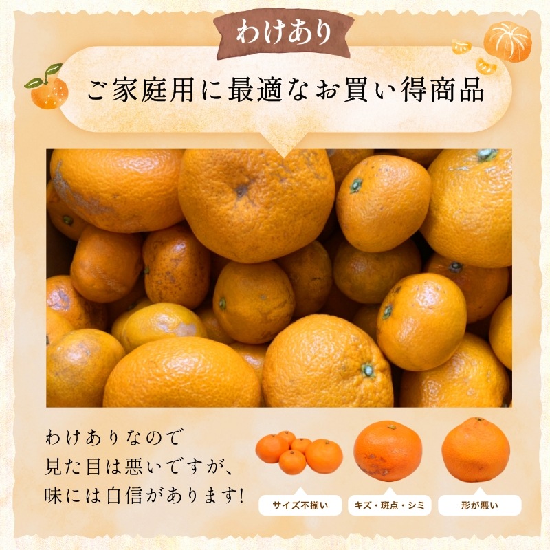 訳あり】三ケ日みかん「早生（わせ）」8kg（サイズ不選別） - 浜名湖