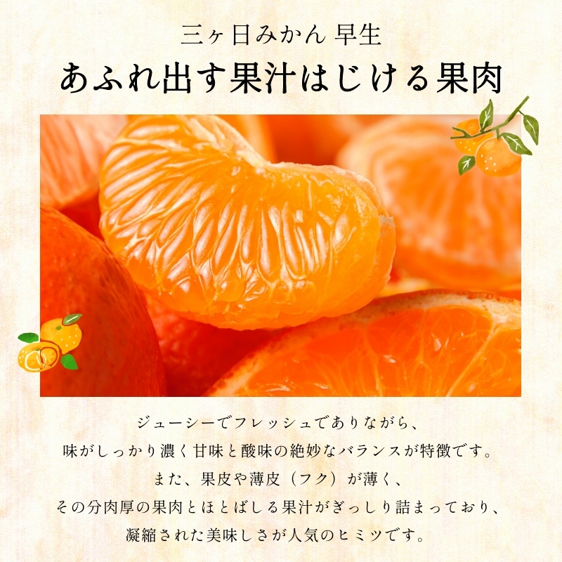 訳あり】三ケ日みかん「早生（わせ）」8kg（サイズ不選別） - 浜名湖