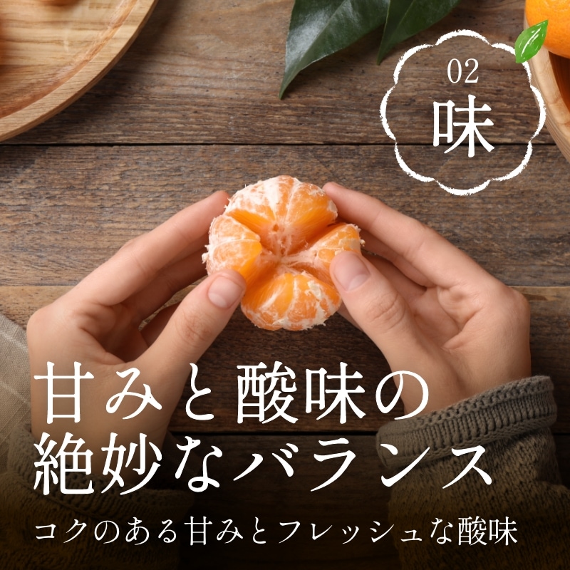 【訳あり】三ケ日みかん「早生（わせ）」8kg（サイズ不選別）