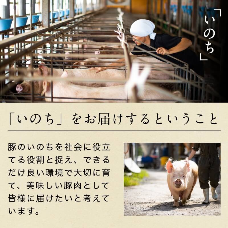 弾ける超粗挽きウインナー SPLASH(スプラッシュ) 500g×6袋