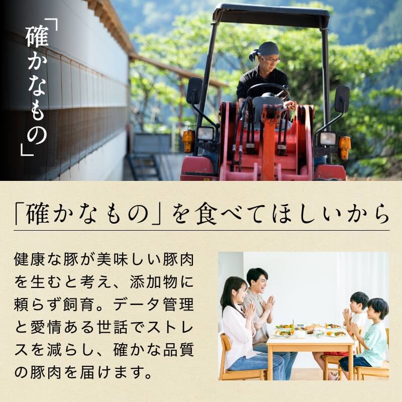 弾ける超粗挽きウインナー SPLASH(スプラッシュ) 500g×6袋