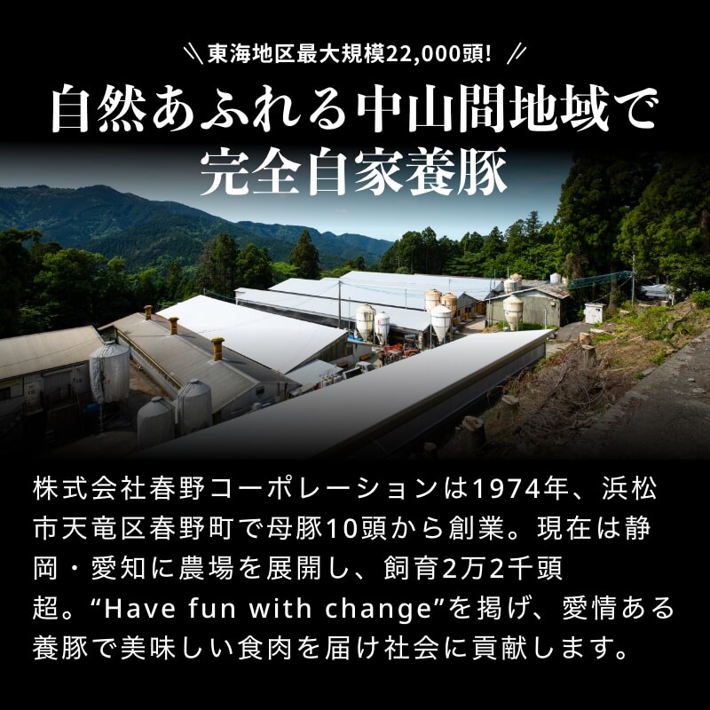 弾ける超粗挽きウインナー SPLASH(スプラッシュ) 500g×6袋