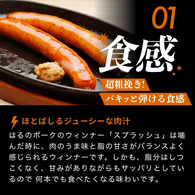 弾ける超粗挽きウインナー SPLASH(スプラッシュ) 500g×6袋