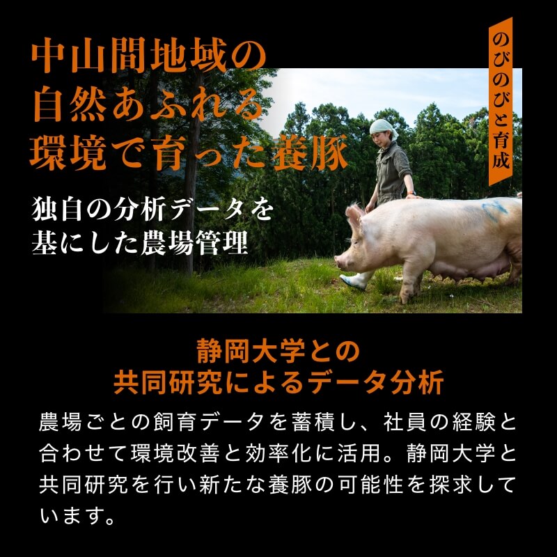 弾ける超粗挽きウインナー SPLASH(スプラッシュ) 500g×6袋