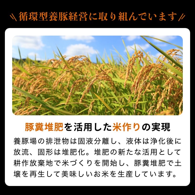 弾ける超粗挽きウインナー SPLASH(スプラッシュ) 500g×6袋