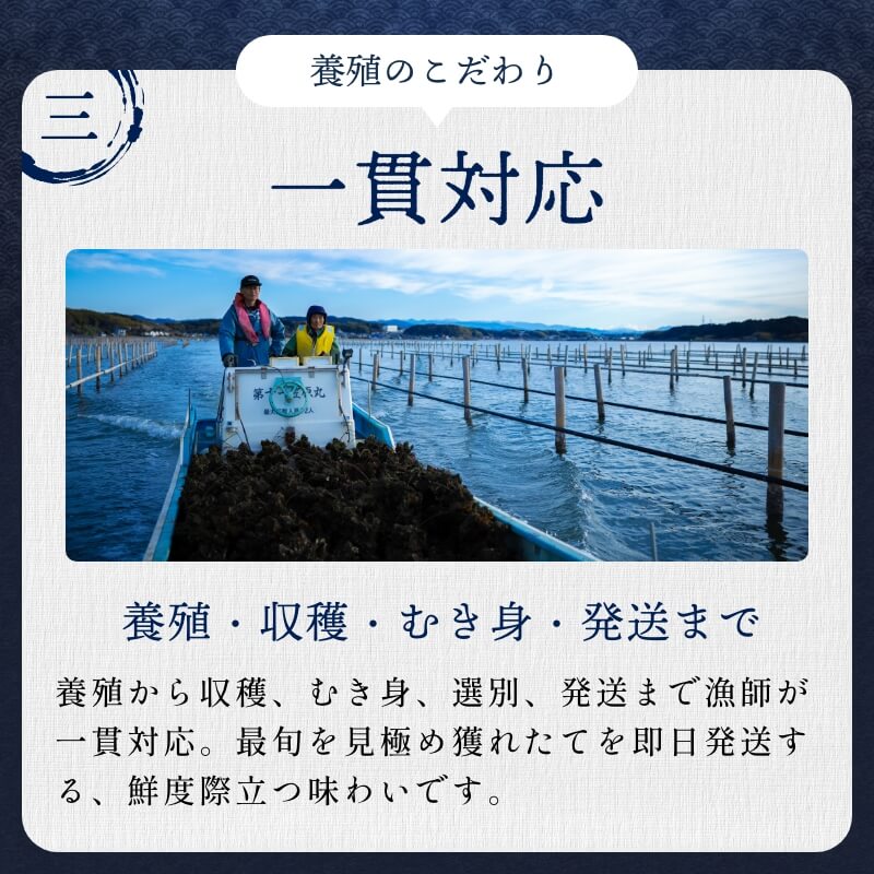 浜名湖産 牡蠣 冷蔵生 むき身 500g　朝獲れの最旬鮮度の牡蠣を即日発送！