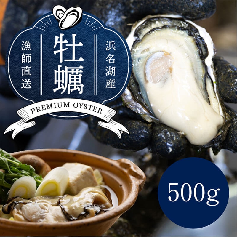 浜名湖産 牡蠣 冷蔵生 むき身 500g　朝獲れの最旬鮮度の牡蠣を即日発送！
