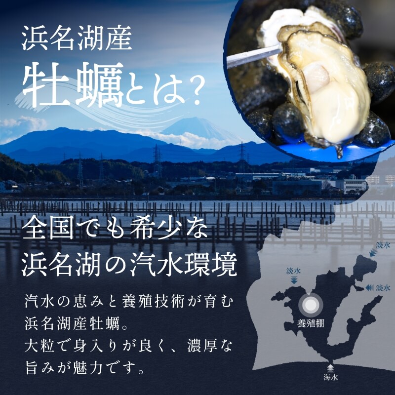 浜名湖産 牡蠣 冷蔵生 むき身 500g　朝獲れの最旬鮮度の牡蠣を即日発送！