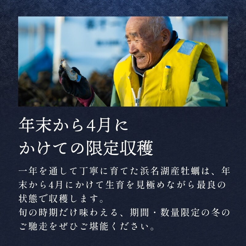 浜名湖産 牡蠣 冷蔵生 むき身 500g　朝獲れの最旬鮮度の牡蠣を即日発送！
