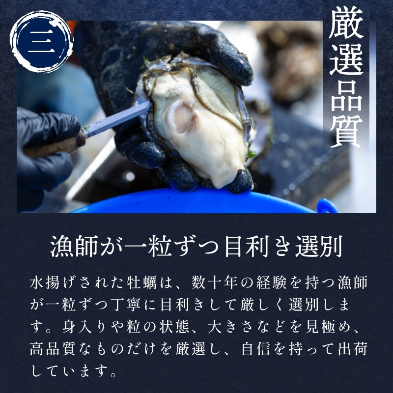 浜名湖産 牡蠣 冷蔵生 むき身 500g　朝獲れの最旬鮮度の牡蠣を即日発送！