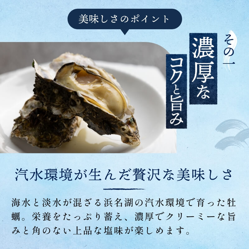 浜名湖産 牡蠣 冷蔵生 むき身 500g　朝獲れの最旬鮮度の牡蠣を即日発送！