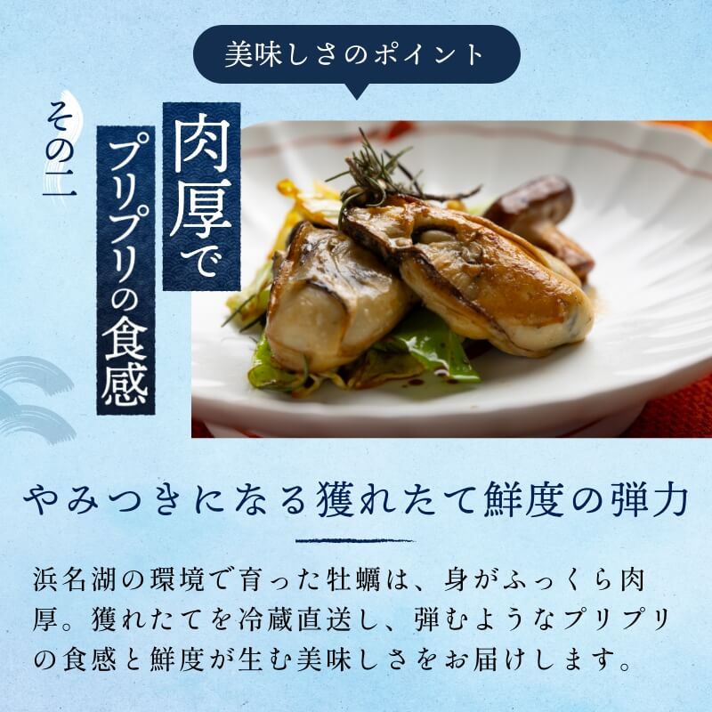 浜名湖産 牡蠣 冷蔵生 厳選殻付き 10個入り　漁師直送！朝獲れの最旬鮮度牡蠣を即日冷蔵発送！