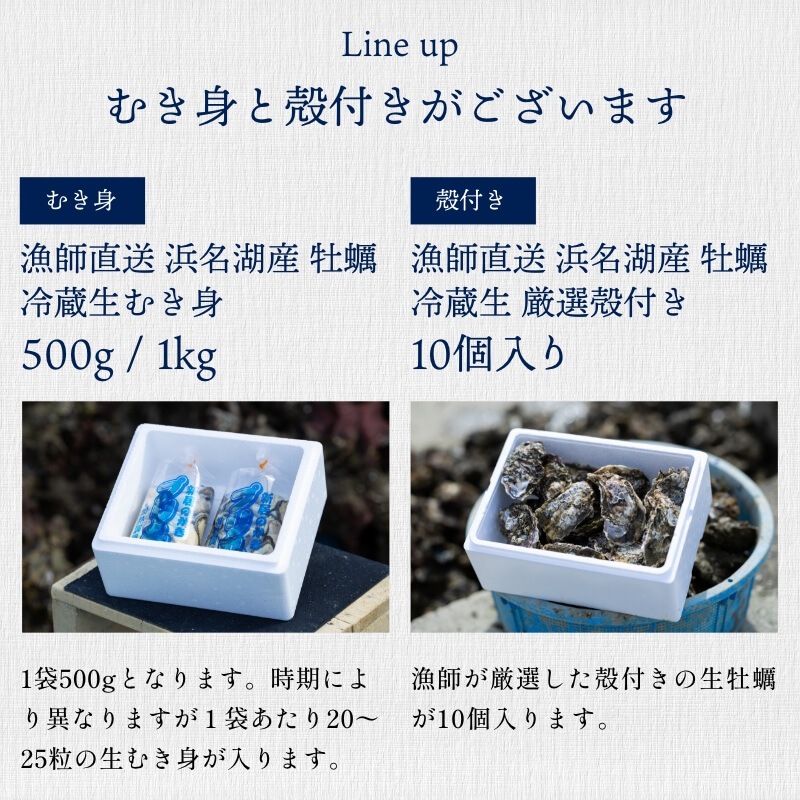 浜名湖産 牡蠣 冷蔵生 厳選殻付き 10個入り　漁師直送！朝獲れの最旬鮮度牡蠣を即日冷蔵発送！