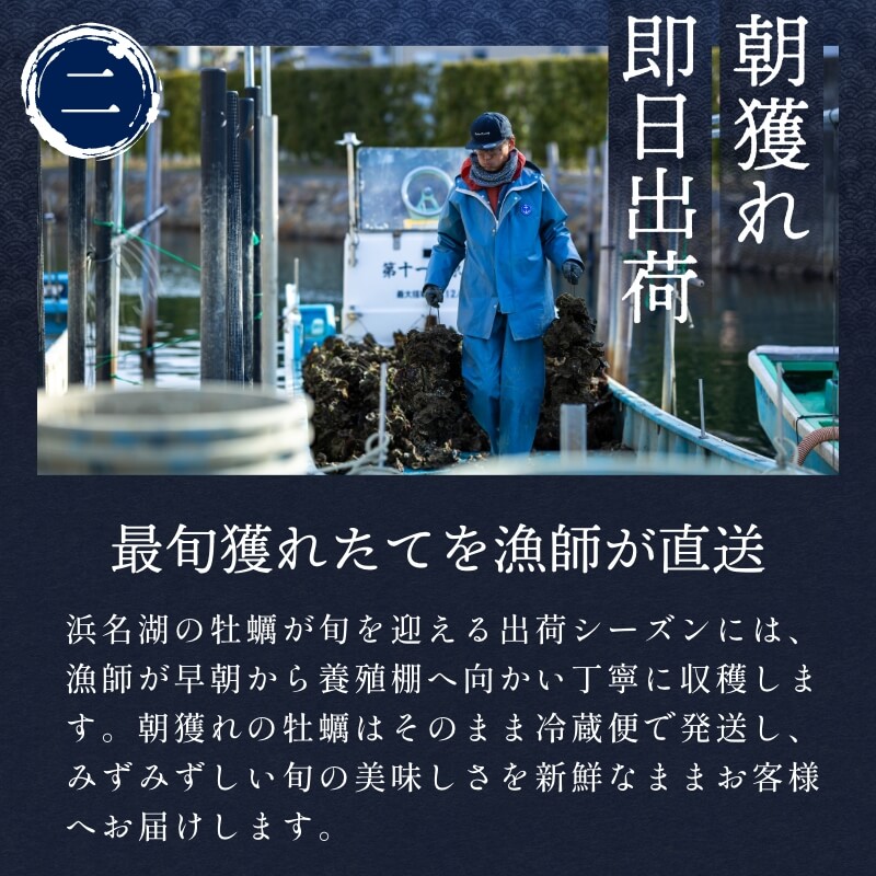 浜名湖産 牡蠣 冷蔵生 厳選殻付き 10個入り　漁師直送！朝獲れの最旬鮮度牡蠣を即日冷蔵発送！