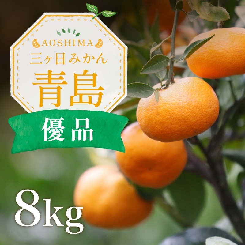 三ケ日濃厚熟みかん「青島」8kg(S～3Lサイズ)（優品相当） - 浜名湖