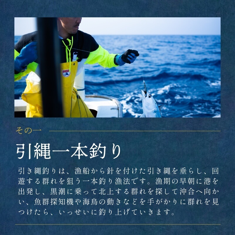 遠州灘産初カツオ 2本 約500g（約250g×2本）