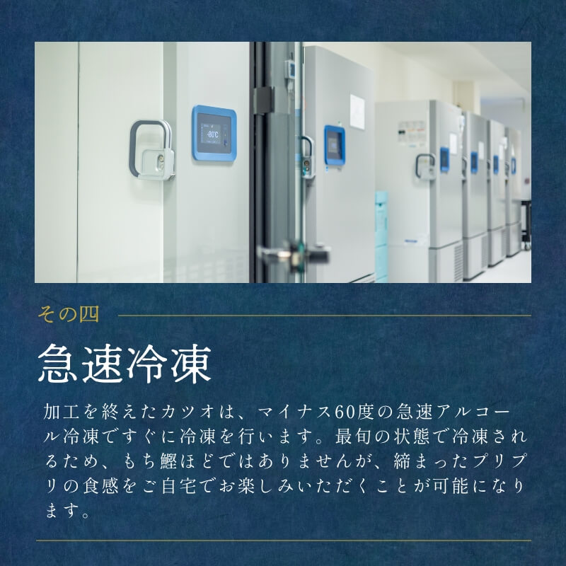 遠州灘産初カツオ 2本 約500g（約250g×2本）