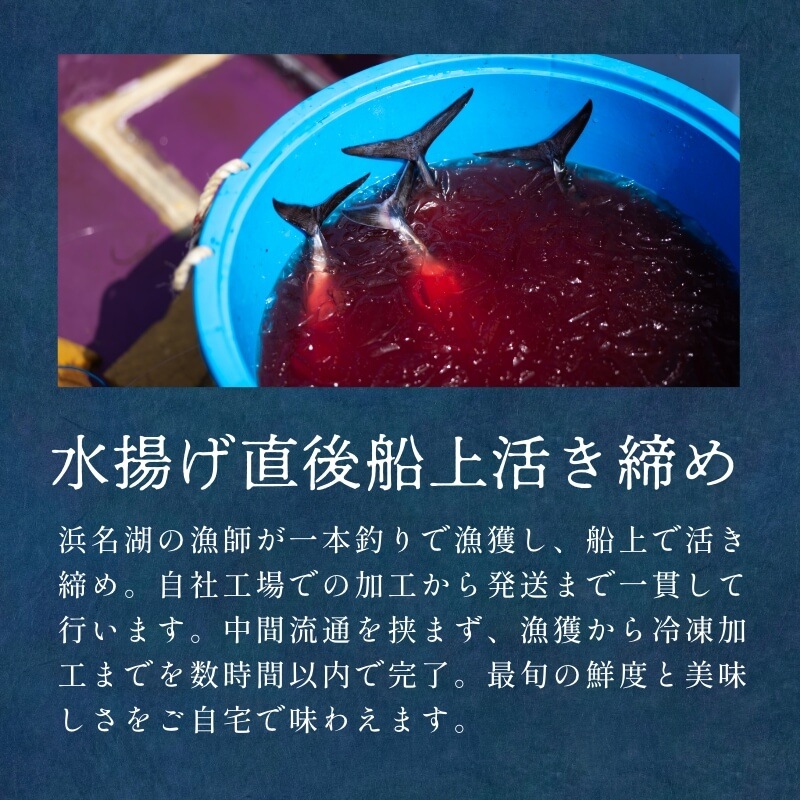 遠州灘産初カツオ 2本 約500g（約250g×2本）