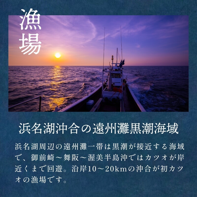 遠州灘産初カツオ 2本 約500g（約250g×2本）