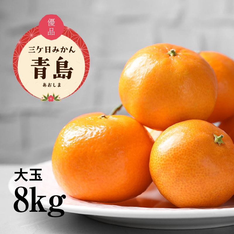 三ケ日濃厚熟みかん「青島」大玉8kg(2L～4Lサイズ)