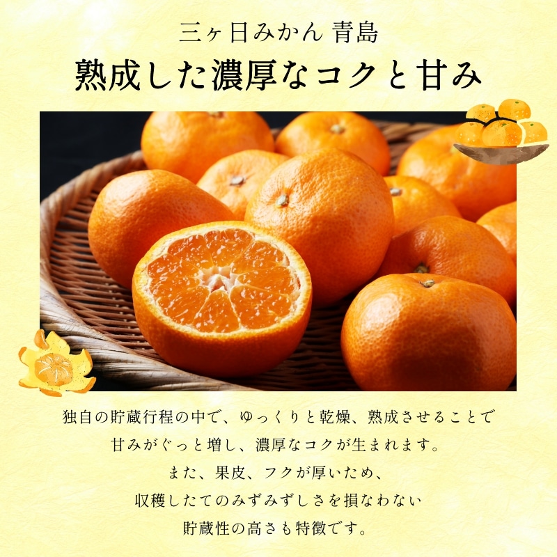 訳あり】三ケ日濃厚熟みかん「青島」4kg(サイズ不選別) - 浜名湖産直