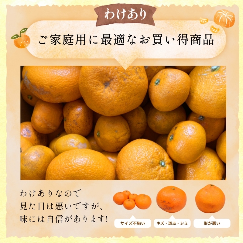 訳あり】三ケ日濃厚熟みかん「青島」4kg(サイズ不選別) - 浜名湖産直