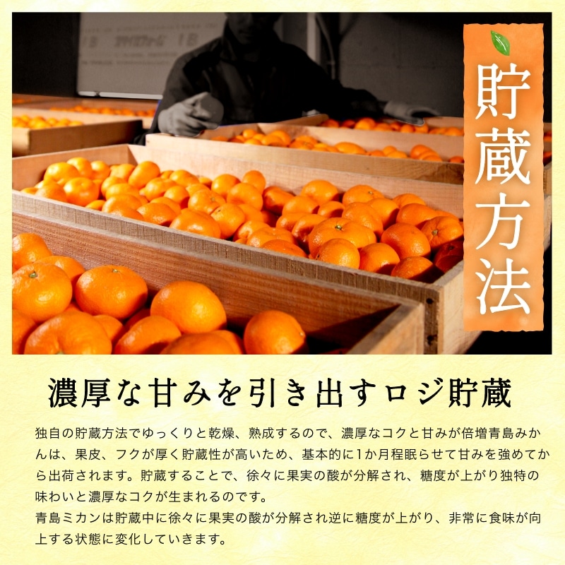 【訳あり】三ケ日濃厚熟みかん「青島」4kg(サイズ不選別) 