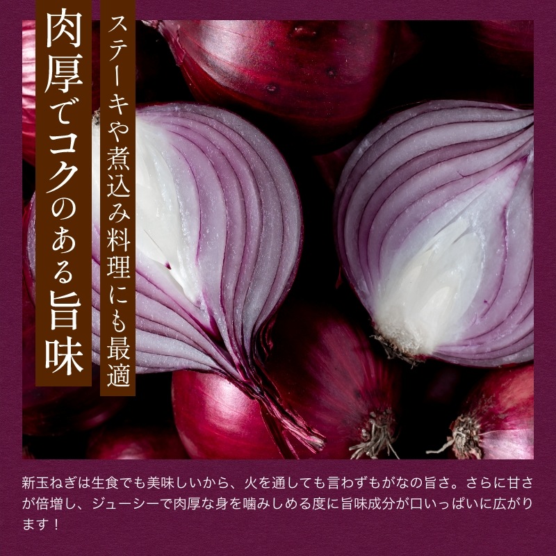 【数量限定】浜松産赤玉ねぎ プレミアムレッド（A級品L玉 5kg）