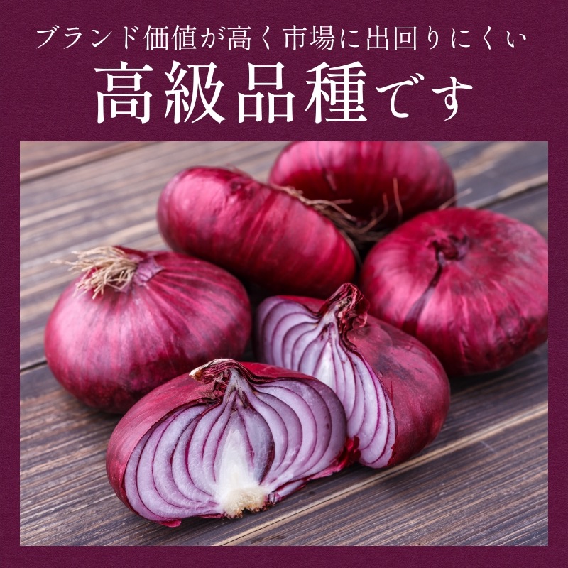 【数量限定】浜松産赤玉ねぎ プレミアムレッド（A級品L玉 5kg）