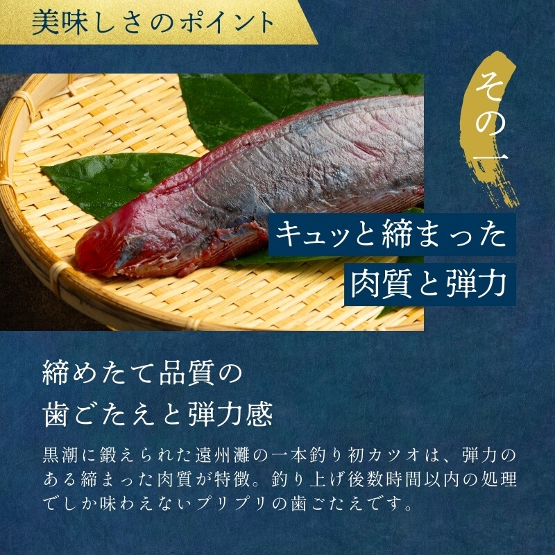 遠州灘産初カツオ 4本 約1kg（約250kg×4本）