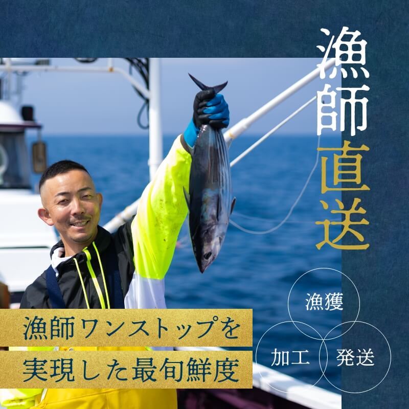 遠州灘産初カツオ 4本 約1kg（約250kg×4本）