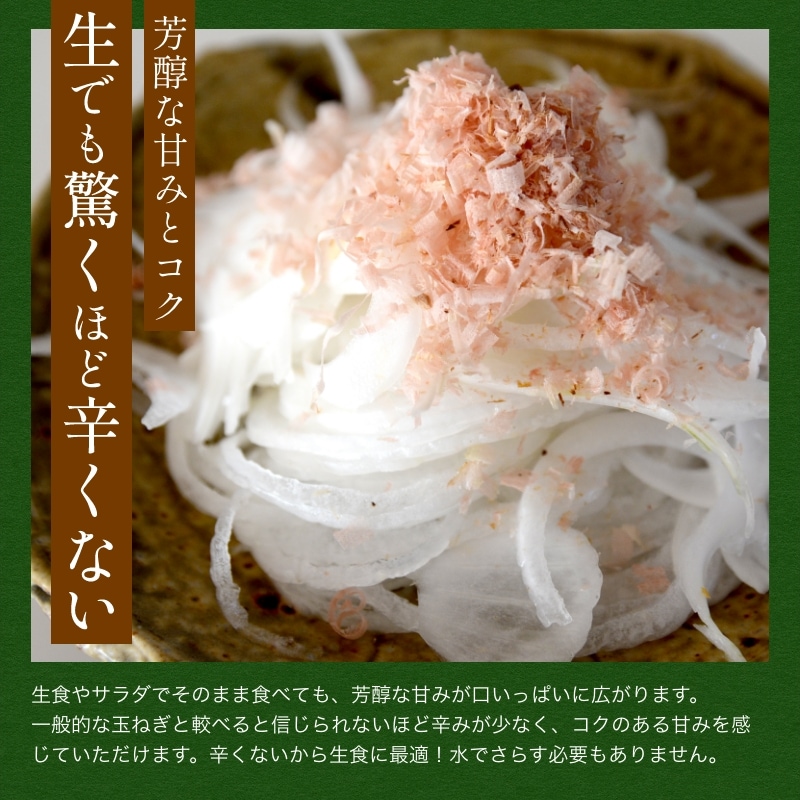 浜松産白玉ねぎプレミアムホワイト葉付きA級品(L10玉)