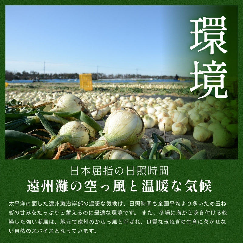 浜松産白玉ねぎプレミアムホワイト葉付きA級品(L10玉)