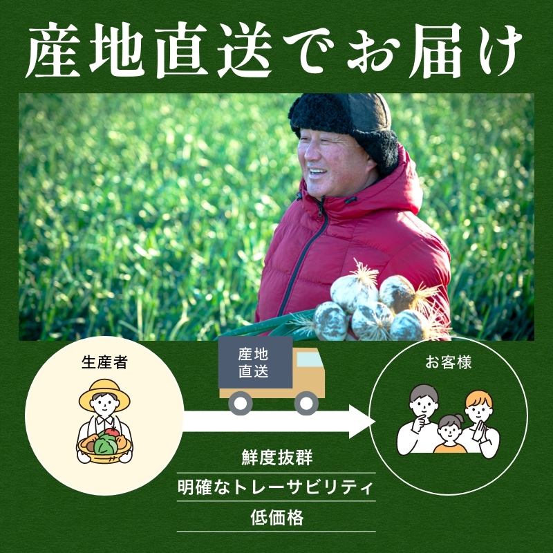 浜松産白玉ねぎプレミアムホワイト葉付きA級品(L10玉)