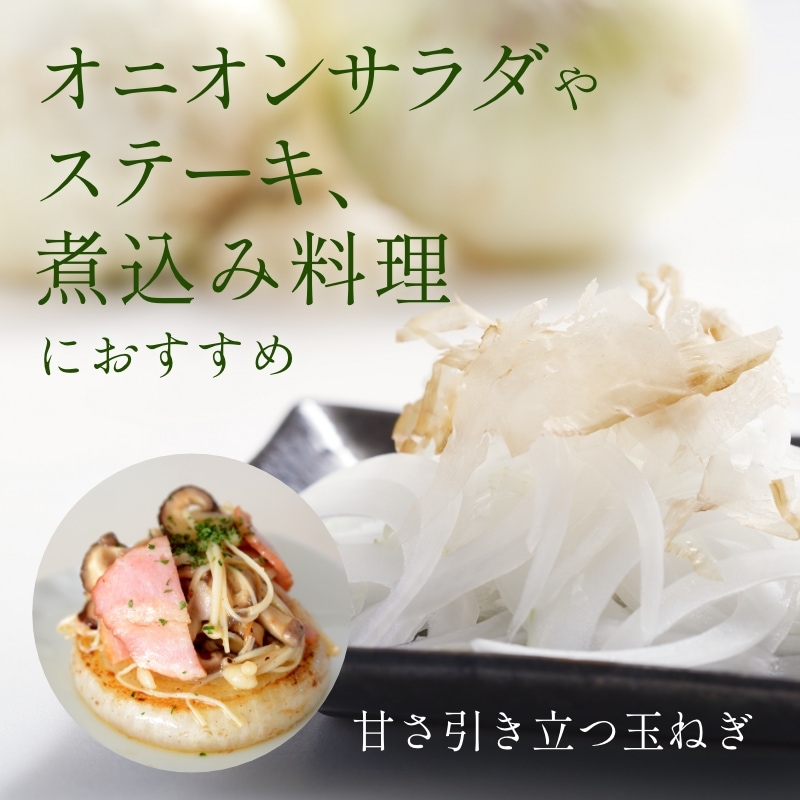 浜松産白玉ねぎプレミアムホワイト葉付きA級品（L10玉） - 浜名