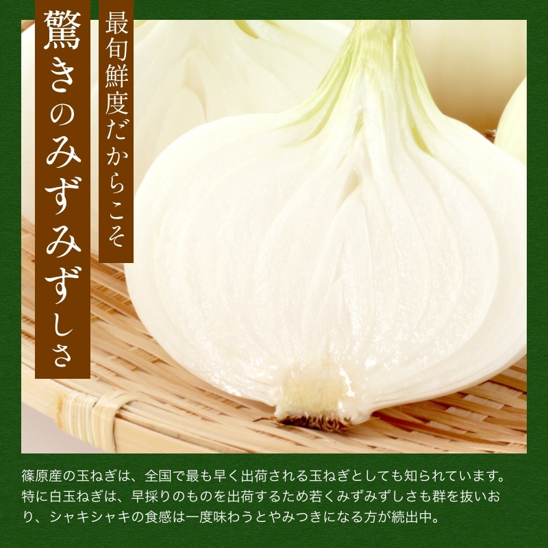 浜松産白玉ねぎプレミアムホワイト葉付きA級品（L10玉） - 浜名