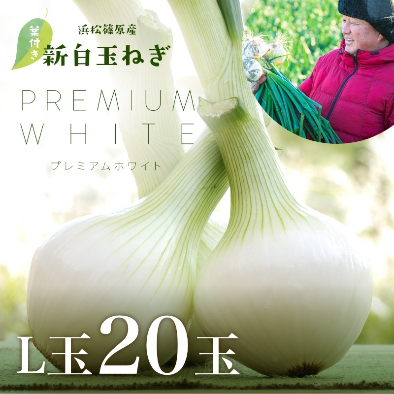 浜松産白玉ねぎプレミアムホワイト葉付きA級品（L20玉） - 浜名湖産直
