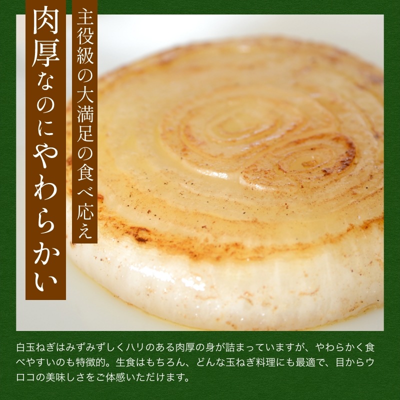 浜松産白玉ねぎプレミアムホワイト葉付きA級品（L30玉）