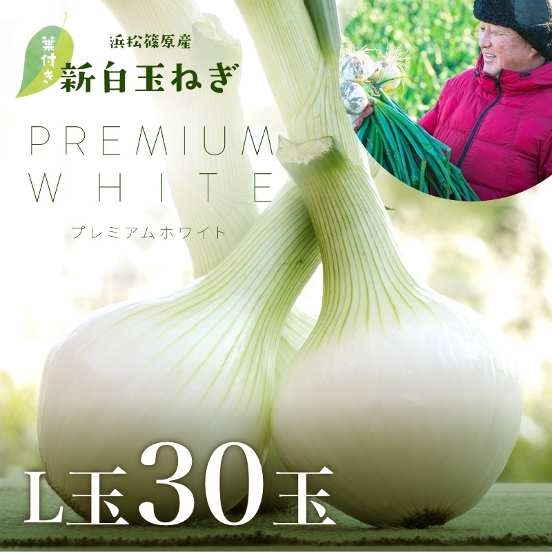 浜松産白玉ねぎプレミアムホワイト葉付きA級品（L30玉）